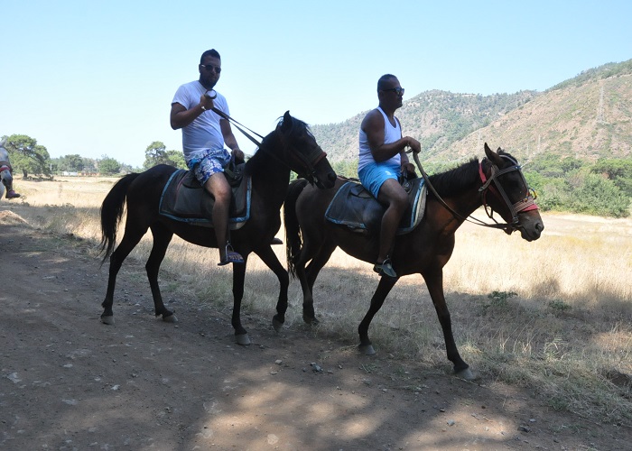 Kusadasi Horse Safari