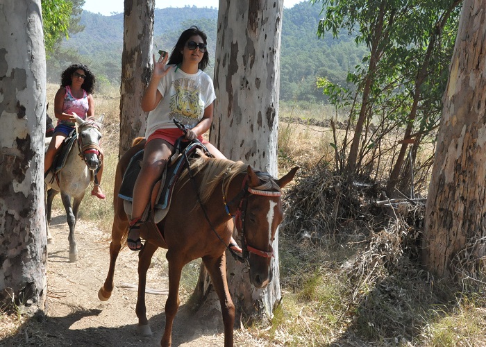 Kusadasi Horse Safari