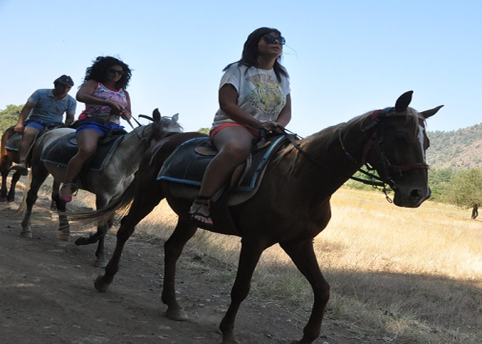 Kusadasi Horse Safari