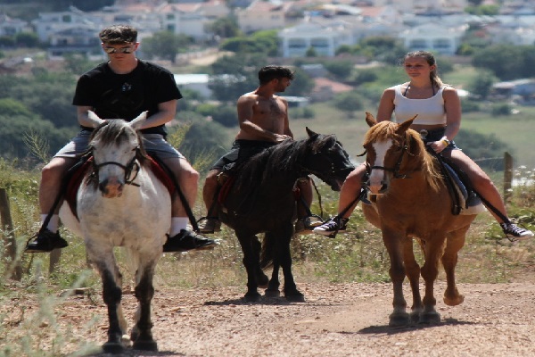 Marmaris Süper Combo Quad+Horse