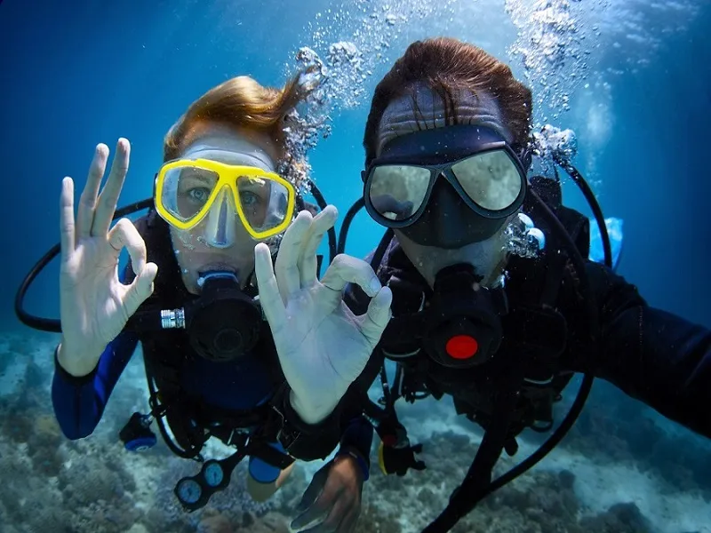 Bodrum Scuba Diving Experince W/ Lunch & Round Trip Transfer