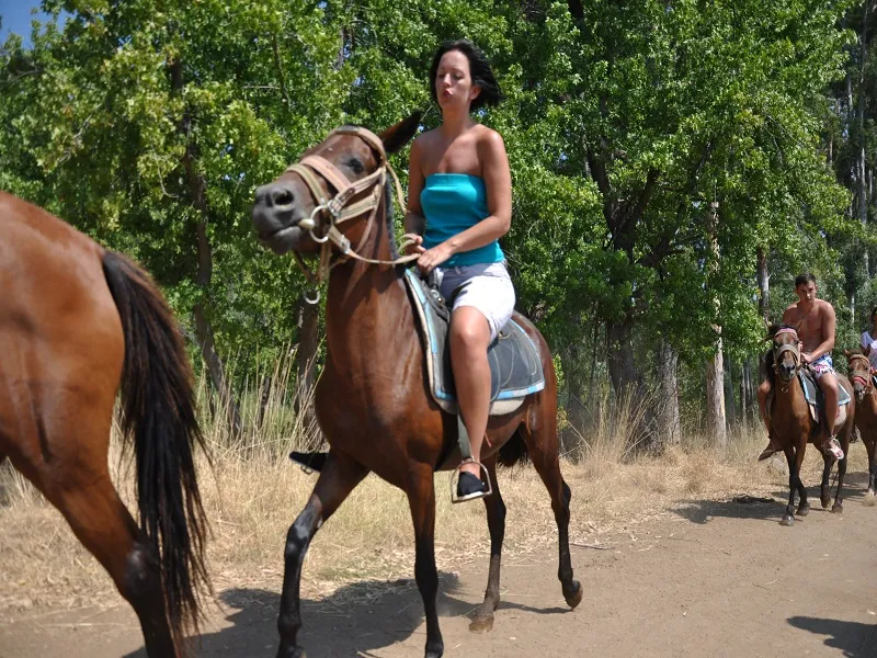 Didim: Horse Safari w/ Hotel Tranfer, Saddle Up for Adventure 