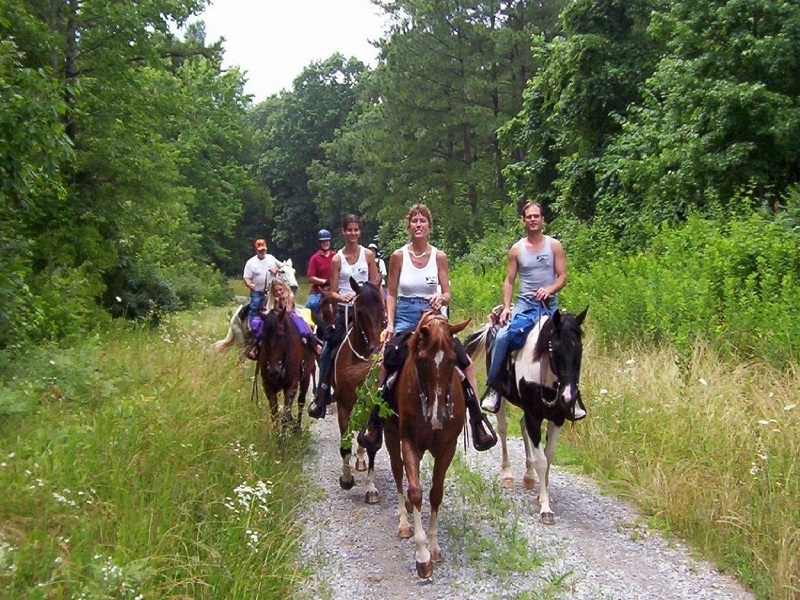 Didim Horse Safari - Adventure Tours - Image 2