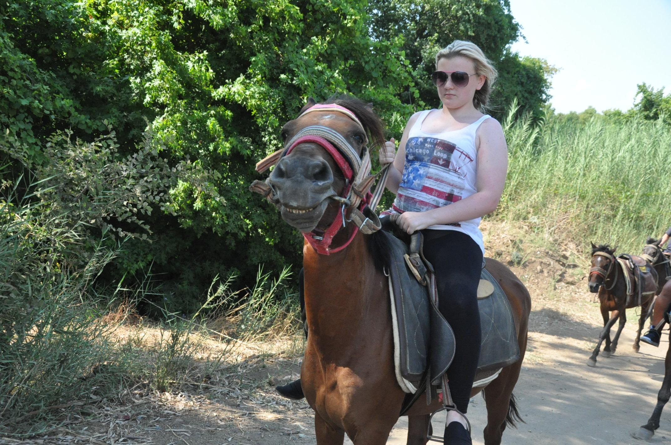 Fethiye Horse Riding Experience - Image 10