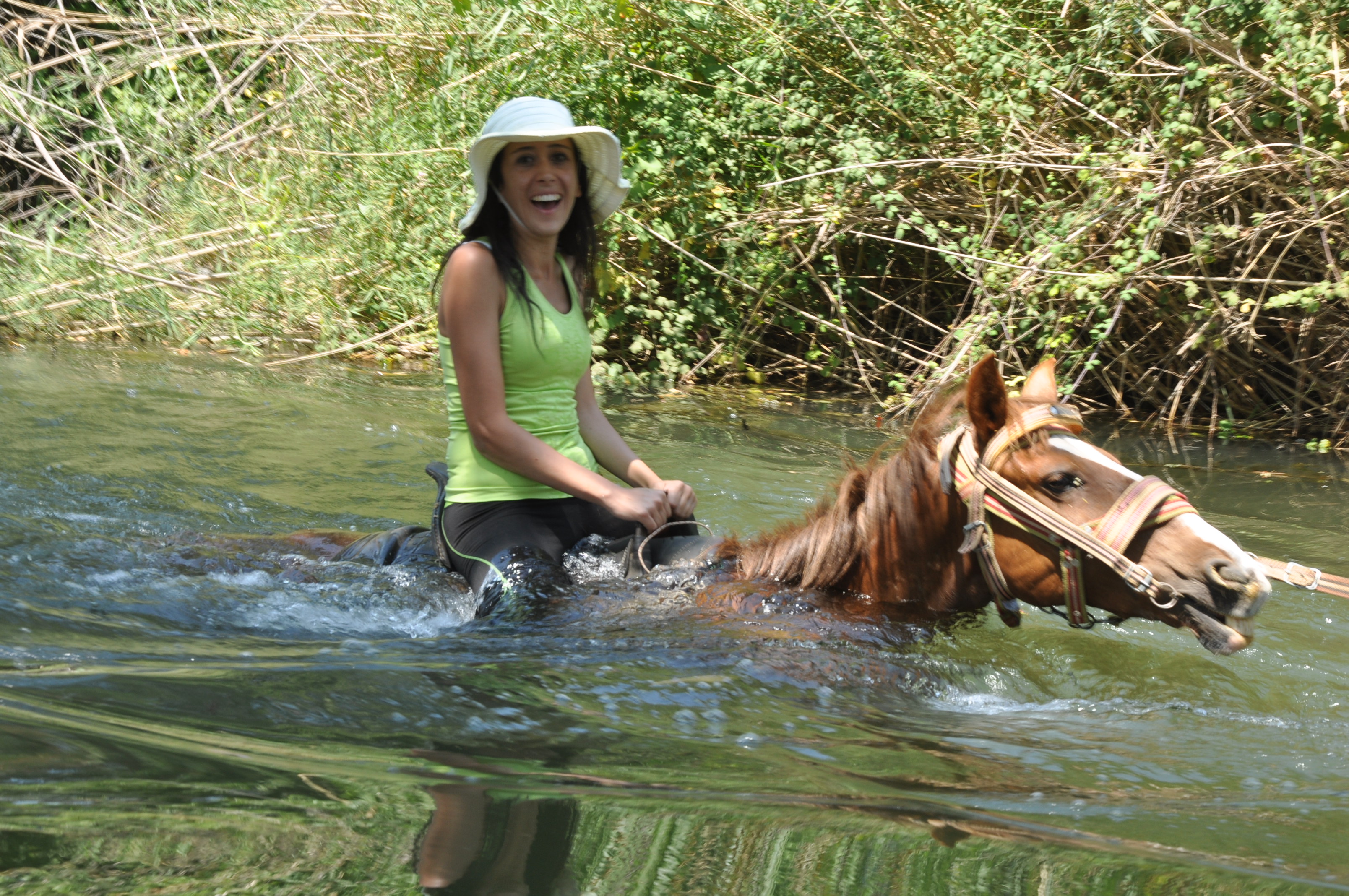 Fethiye Horse Riding Experience - Image 2