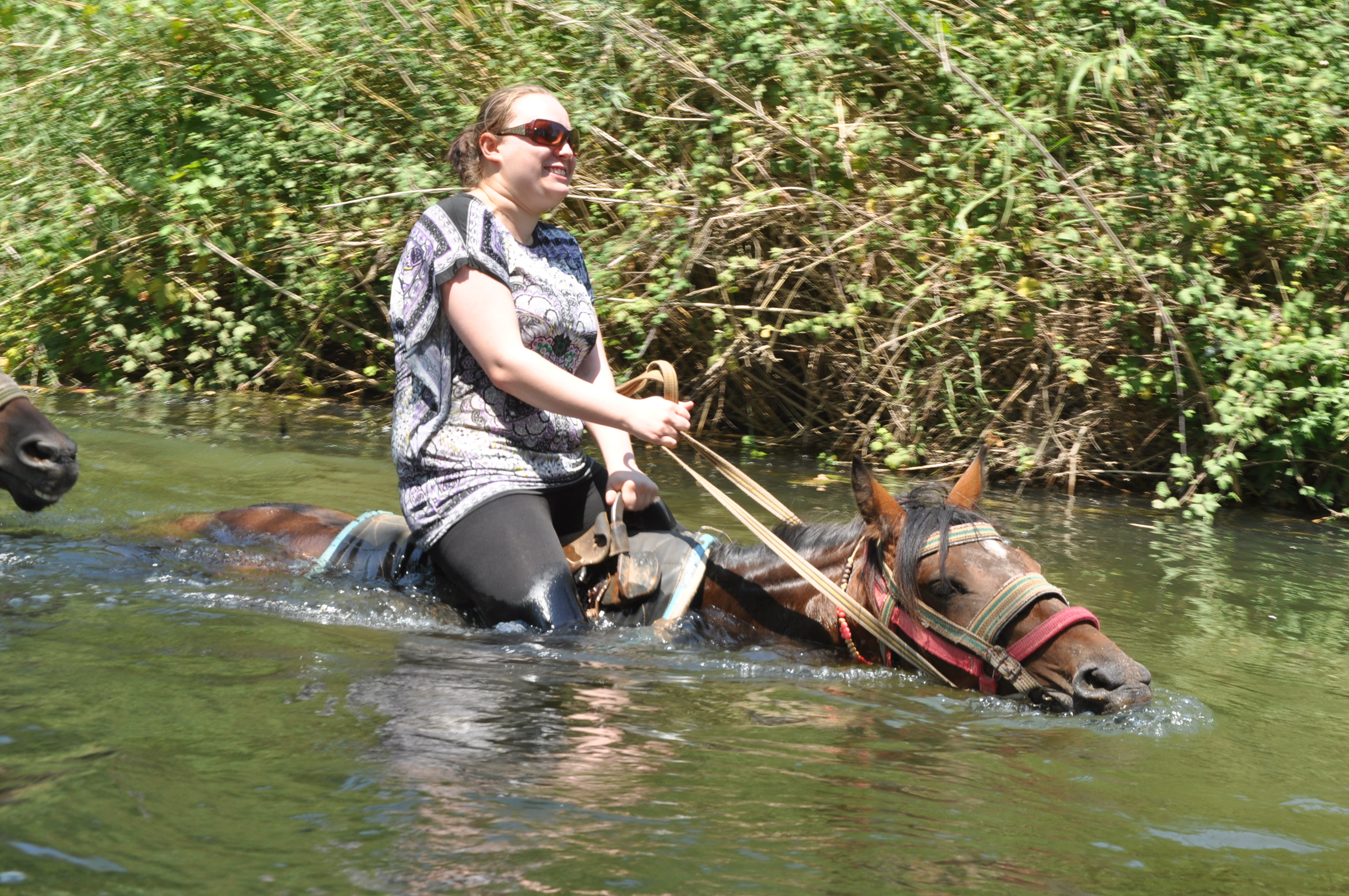 Fethiye Horse Riding Experience - Image 3