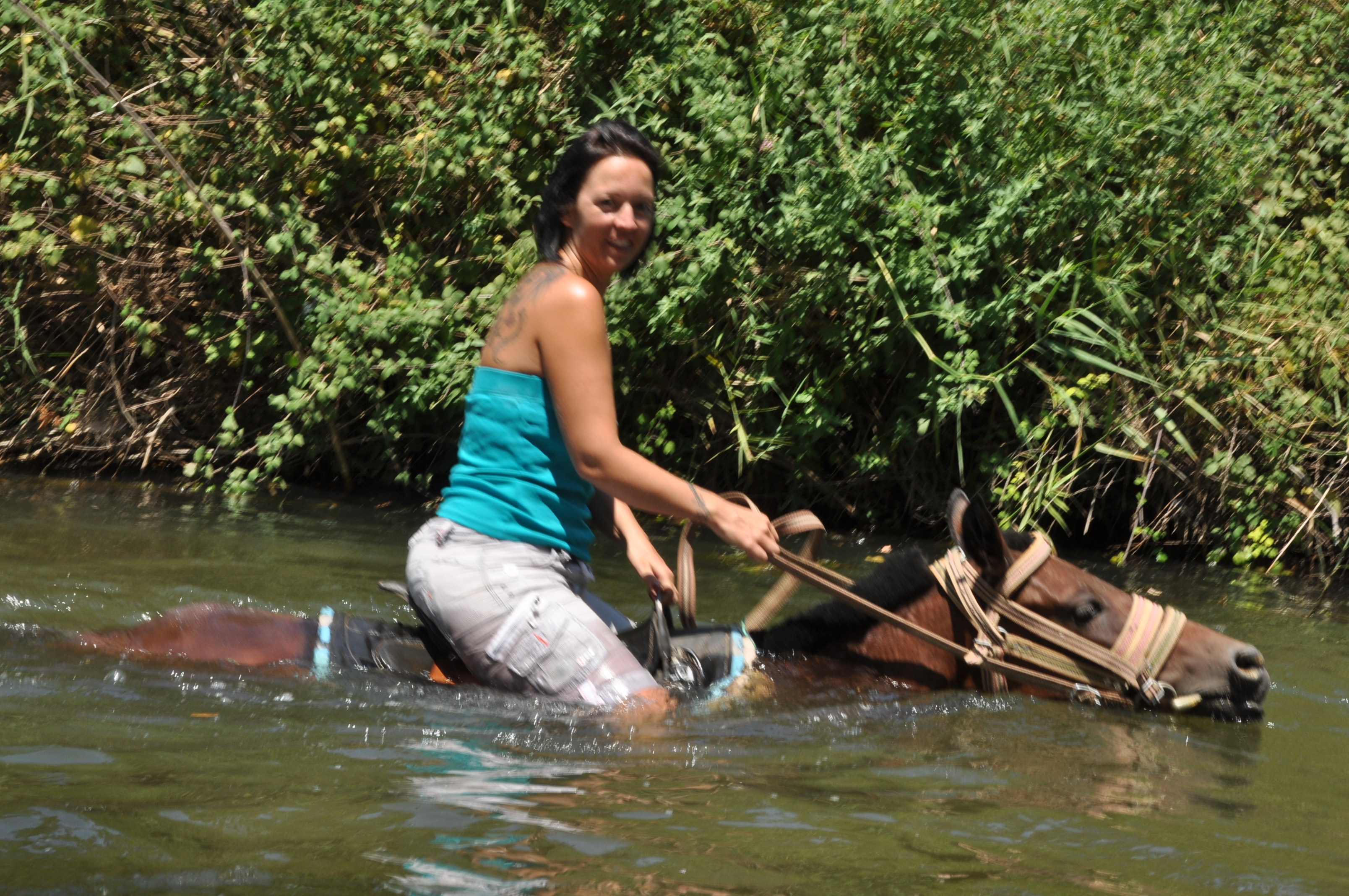 Fethiye Horse Riding Experience - Image 4
