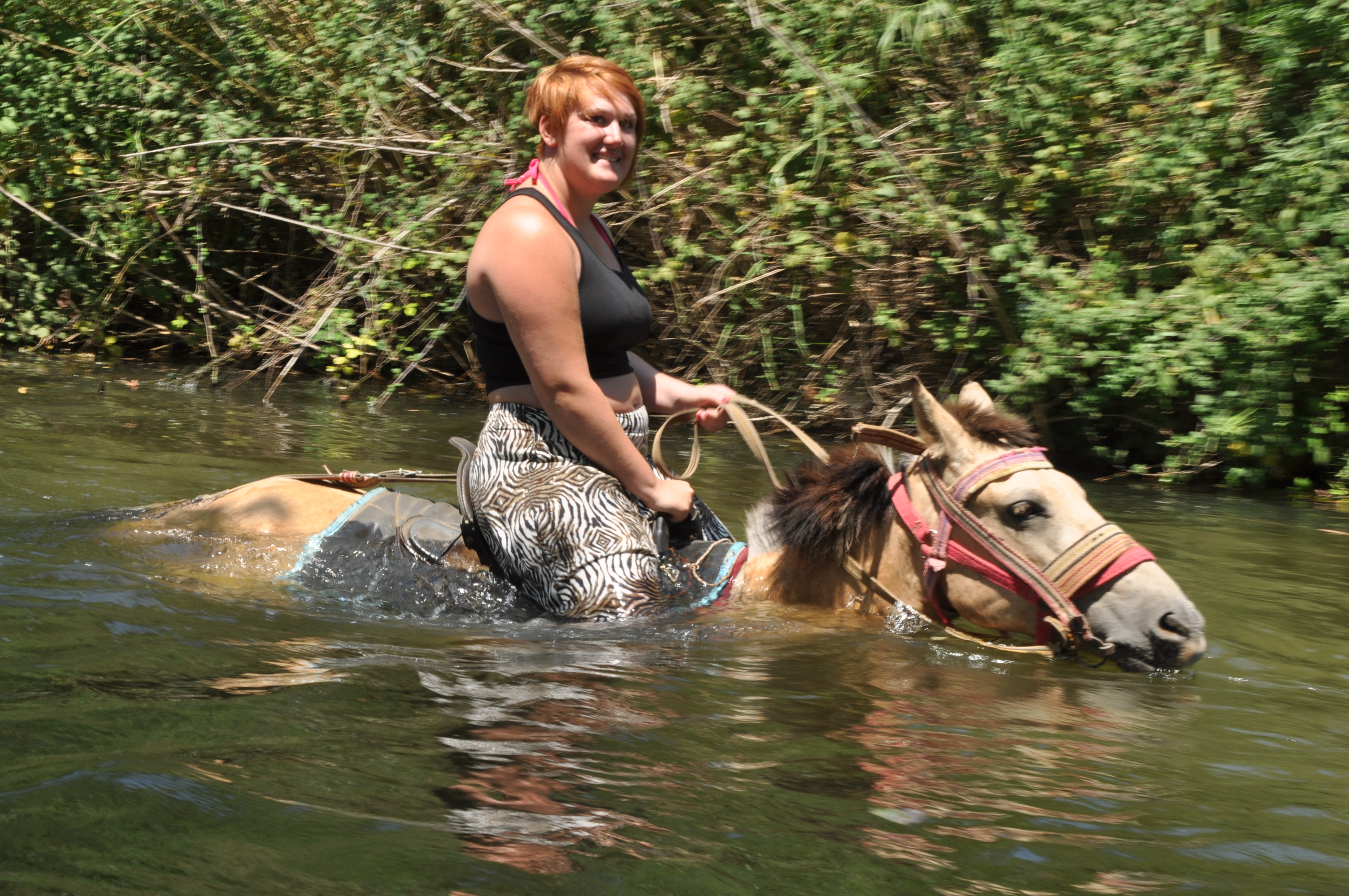 Fethiye Horse Riding Experience - Image 5