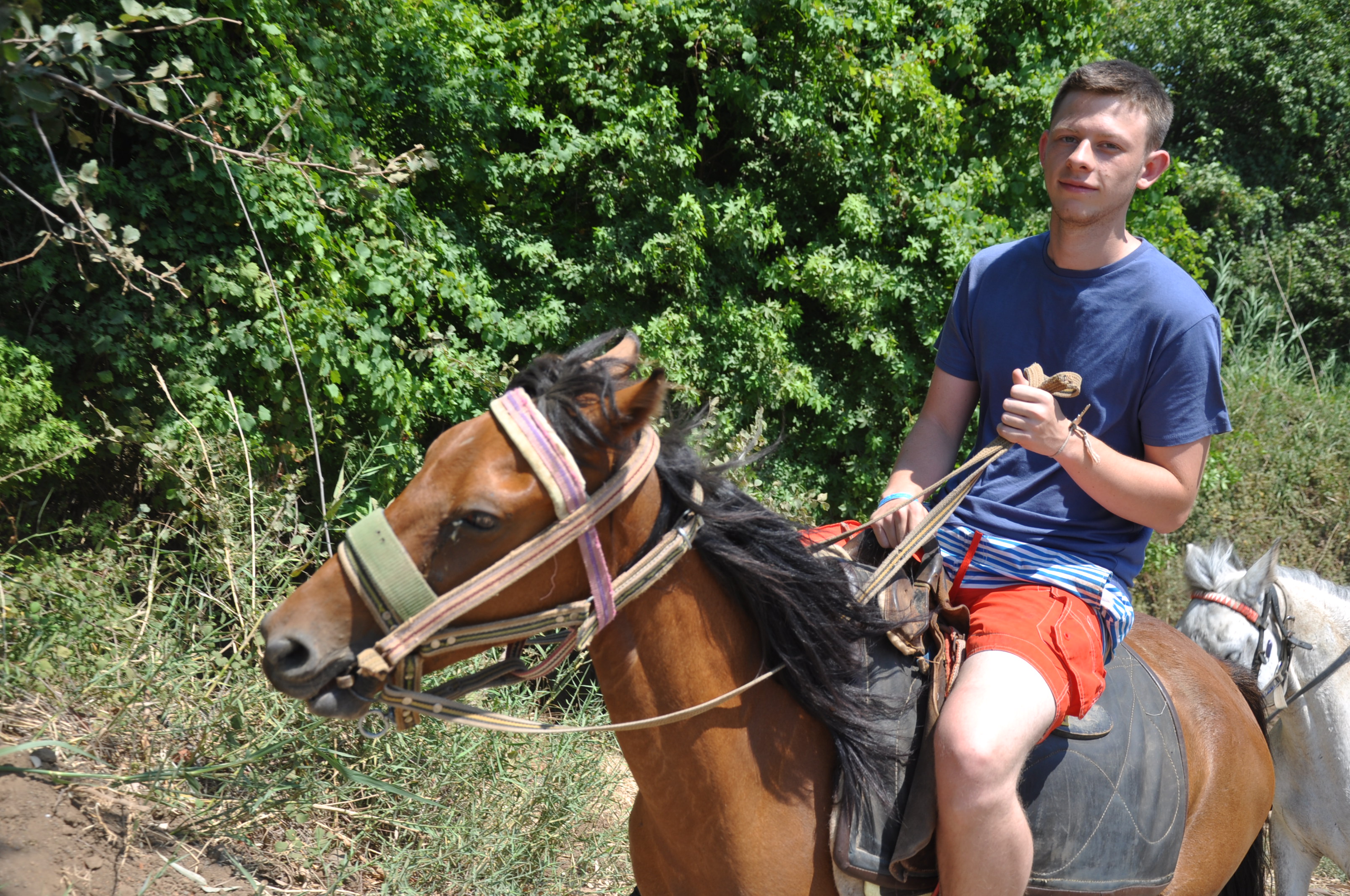 Fethiye Horse Riding Experience - Image 1