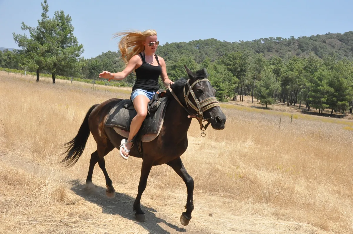 Fethiye Horse Riding: 1-Hour Horseback Ride In The Forest