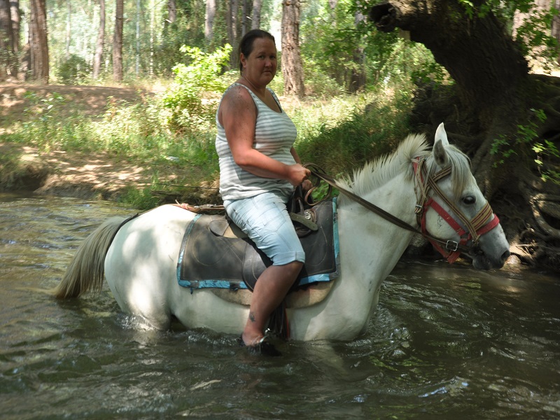 Bodrum Horse Riding With Return Hotel Transfer - Image 4