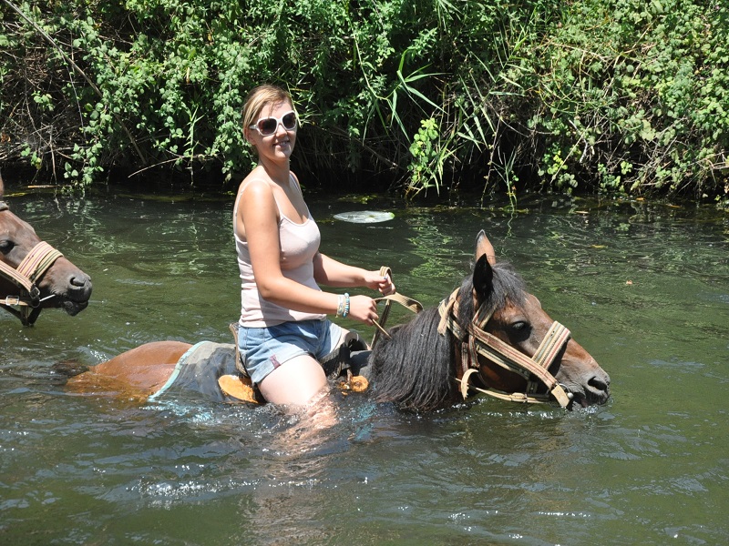 Bodrum Horse Riding With Return Hotel Transfer - Image 5