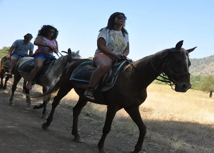 Kusadasi: Horse Safari Adventure (Including Round-Trip Transfers to Hotel)