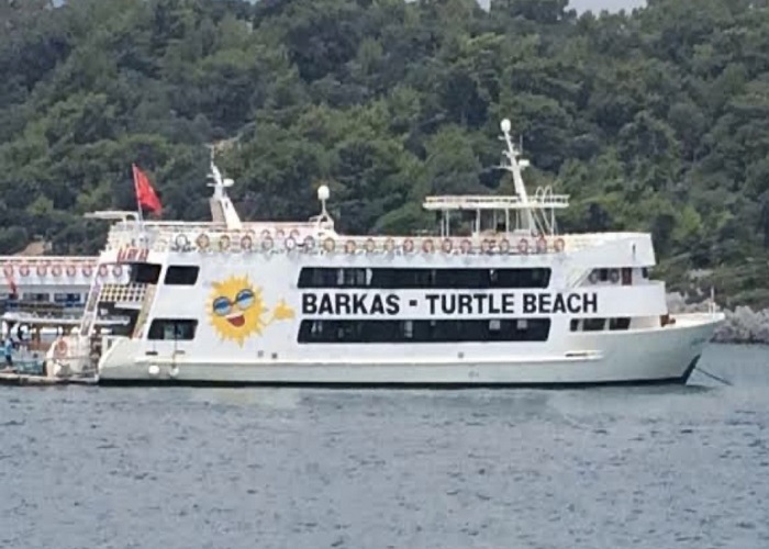 Icmeler: Dalyan Turtle Beach Tour By Barkas Boat w/ Lunch & Transfers - Image 5