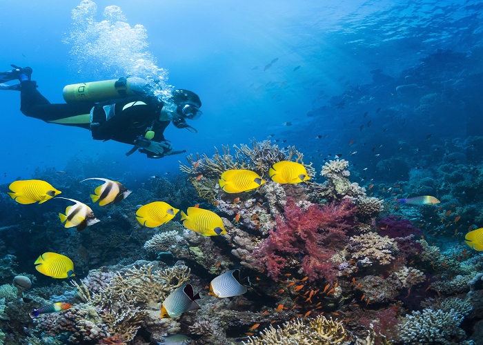 Diving in Kusadasi - Image 5