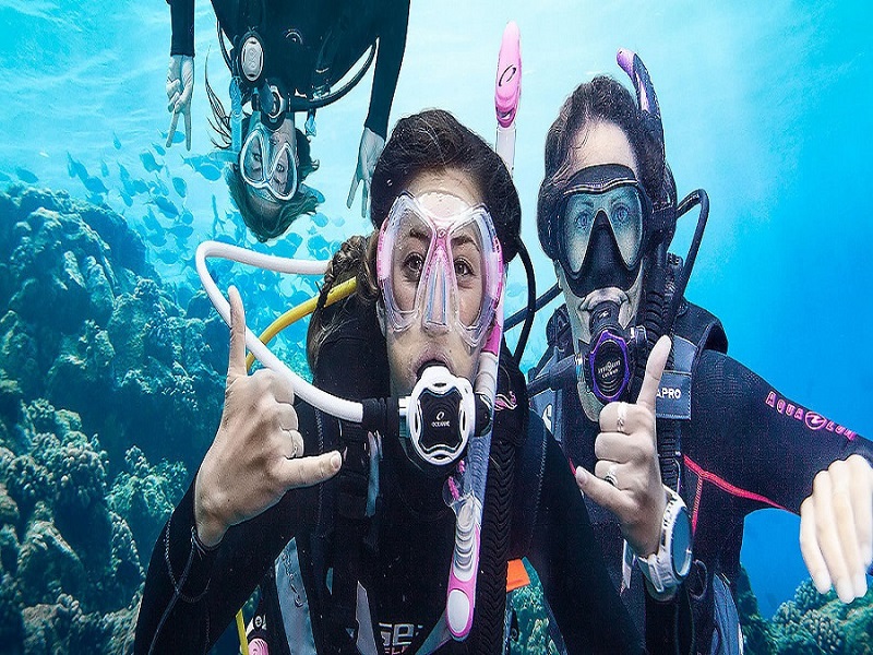 Marmaris Full Day Scuba Diving Two Dives W/ Lunch - Image 3