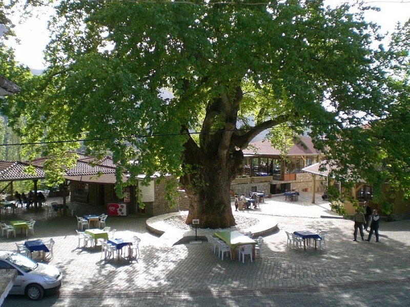 Marmaris Village Tour w/ Waterfalls & Jesus Beach: Nature’s Paradise - Image 11