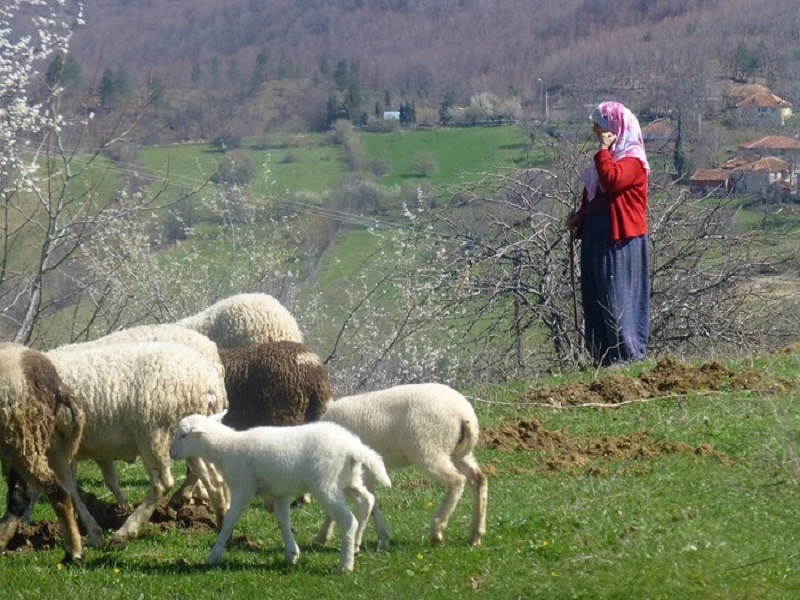 Marmaris Village Tour w/ Waterfalls & Jesus Beach: Nature’s Paradise - Image 6