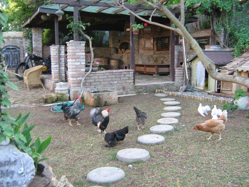 Marmaris Village Tour w/ Waterfalls & Jesus Beach: Nature’s Paradise - Image 7