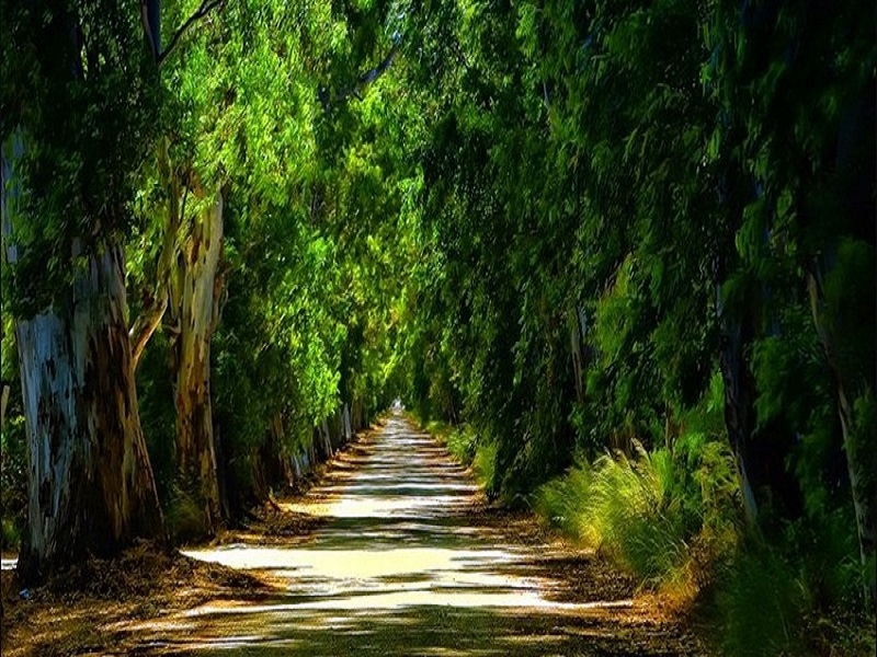 Marmaris Yuvarlakcay Tour W/ Lunch and Akyaka River Cruise - Image 1